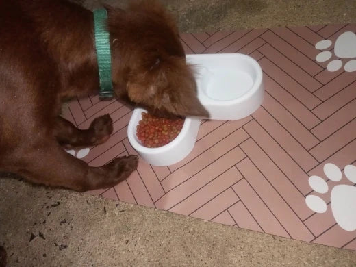 Review Card